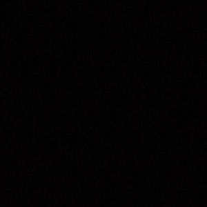 Meet your Posher, Ella